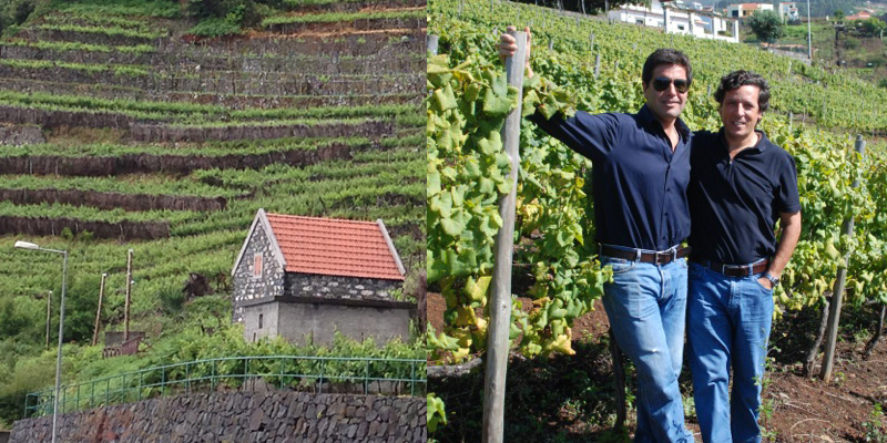 Madeira Primeira Paixao foto